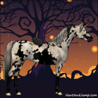 Horse Color:Void White Spotted Liver Red Dun Pearl Mushroom Sabino Brindle 