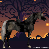 Horse Color:Void Silver Brown Pearl Dun Sabino Tobiano Brindle 