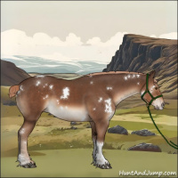 Horse Color:White Spotted Liver Chestnut Tobiano 