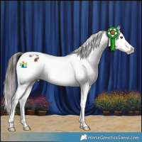 Horse Color:Liver Chestnut Snowflake Varnish 