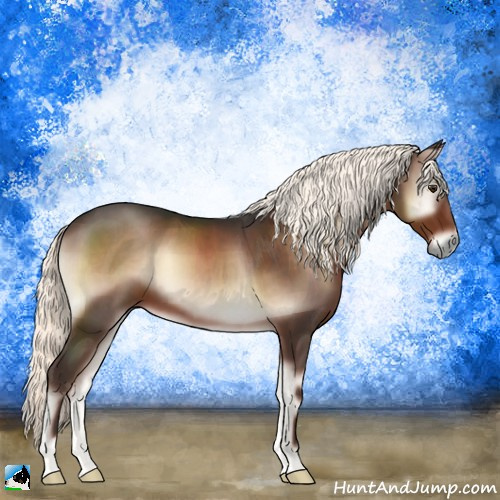 Horse Color:Liver Red Onyx Mushroom 