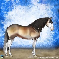Horse Color:Liver Red Onyx Splash 