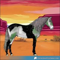 Horse Color:Void Watercolor Liver Red Onyx Tobiano