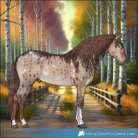 Horse Color:White Spotted Liver Red Dun Tobiano Brindle