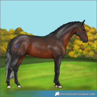 Horse Color:Brown 