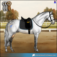 Horse Color:Gray White Spotted Buckskin