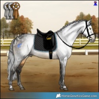 Horse Color:Gray White Spotted Buckskin 