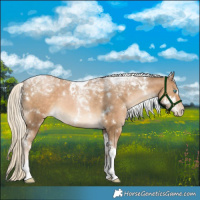 Horse Color:White Spotted Chocolate Palomino Pearl Tobiano 