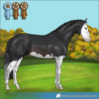 Horse Color:Brown Splash