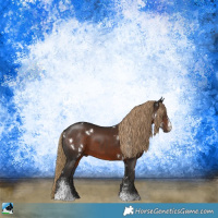 Horse Color:White Spotted Liver Chestnut Sabino Rabicano