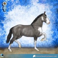 Horse Color:Grullo Mushroom Sabino Rabicano