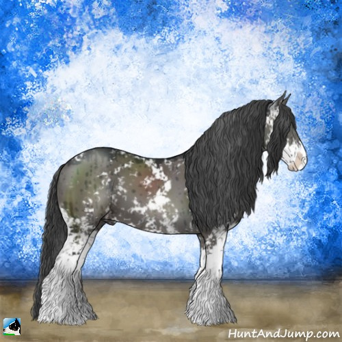 Horse Color:Grullo Mushroom Sabino Brindle 