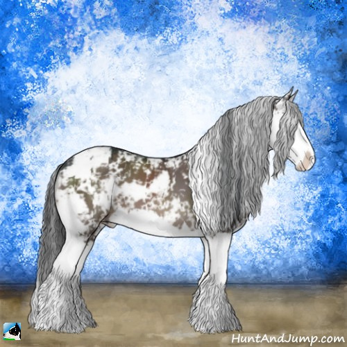 Horse Color:Brown Dun Mushroom Sabino Splash 