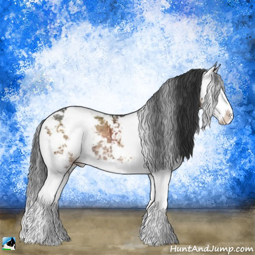 Horse Color:Brown Dun Mushroom Sabino Splash Rabicano Brindle 