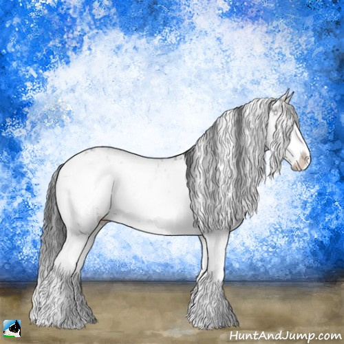 Horse Color:Grullo Onyx Mushroom Sabino Splash Rabicano Brindle 