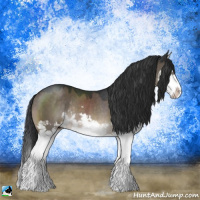 Horse Color:Brown Dun Mushroom Sabino Splash Rabicano 