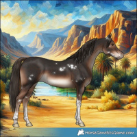 Horse Color:White Spotted Liver Chestnut Tobiano 