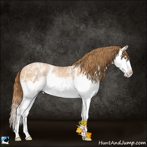 Horse Color:White Spotted Bay Ice Pearl Splash 