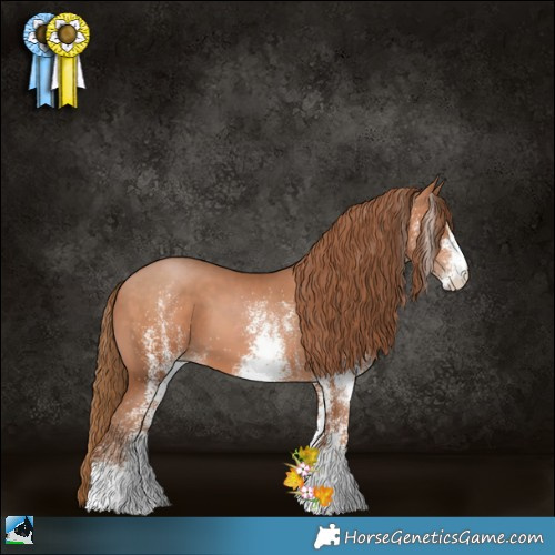 Horse Color:White Spotted Brown Pearl 