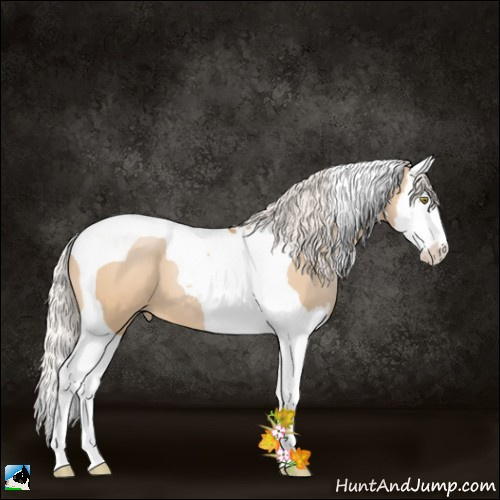 Horse Color:Silver Bay Pearl Dun Splash Tobiano 