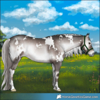 Horse Color:Platinum White Spotted Liver Red Onyx 