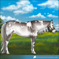 Horse Color:Platinum White Spotted Liver Red Onyx