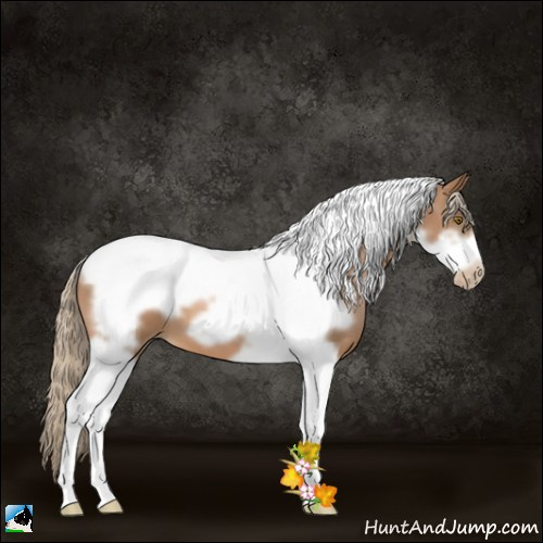 Horse Color:Liver Chestnut Pearl Tobiano Frame