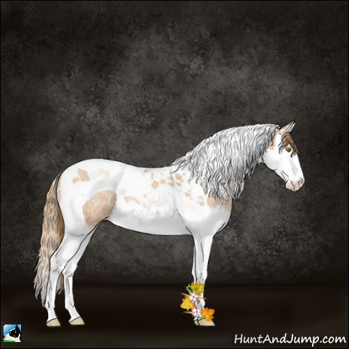 Horse Color:Chestnut Ice Pearl Splash Tobiano 