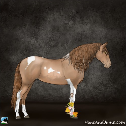 Horse Color:Liver Chestnut Pearl Tobiano 