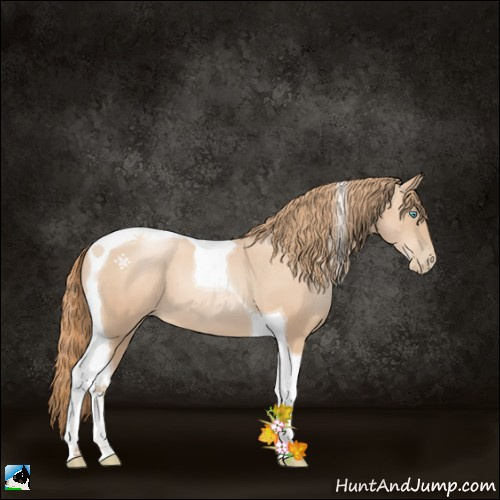 Horse Color:Gold Champagne Pearl Tobiano 