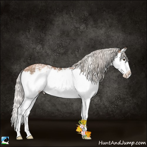 Horse Color:White Spotted Silver Black Pearl Splash 