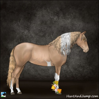 Horse Color:Liver Chestnut Pearl Tobiano Rabicano 