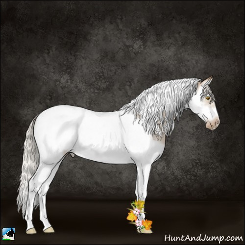 Horse Color:Silver Brown Roan Pearl Dun Splash Tobiano Frame 
