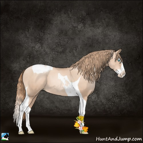 Horse Color:Gold Champagne Pearl Splash Tobiano