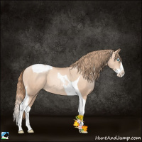 Horse Color:Gold Champagne Pearl Splash Tobiano 