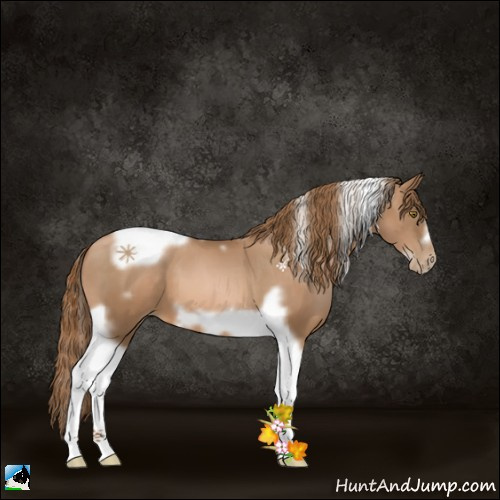 Horse Color:Liver Chestnut Pearl Tobiano Frame