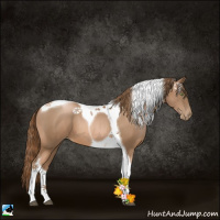 Horse Color:Liver Chestnut Pearl Tobiano