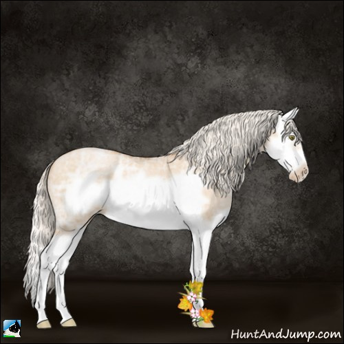 Horse Color:Silver Bay Ice Roan Pearl Dun Splash Frame 
