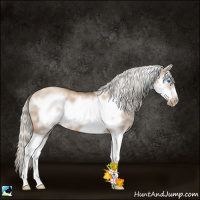 Horse Color:White Spotted Silver Grullo Pearl Splash Frame 