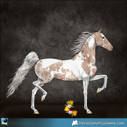 Horse Color:White Spotted Silver Black Ice Pearl Tobiano