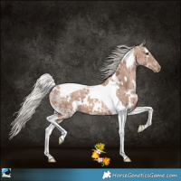 Horse Color:White Spotted Silver Black Ice Pearl Tobiano 