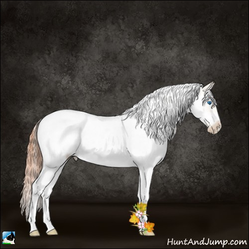 Horse Color:White Spotted Classic Champagne Ice Pearl Dun Splash Tobiano Frame 