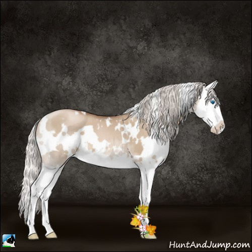 Horse Color:White Spotted Silver Grullo Roan Pearl Splash 