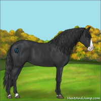 Horse Color:Black Splash 