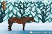 Horse Color:Void White Spotted Liver Chestnut Rabicano 