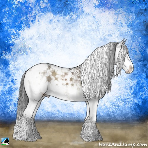 Horse Color:Grullo Onyx Sabino Splash 