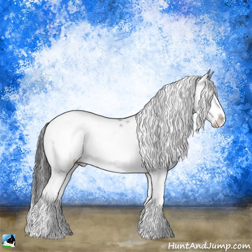 Horse Color:Brown Dun Mushroom Sabino Splash Rabicano 