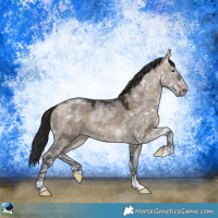 Horse Color:Brown Ice Dun Mushroom Rabicano 