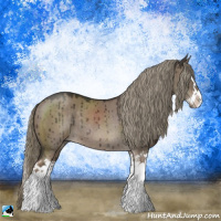 Horse Color:Liver Red Dun Mushroom Sabino Splash Rabicano Brindle