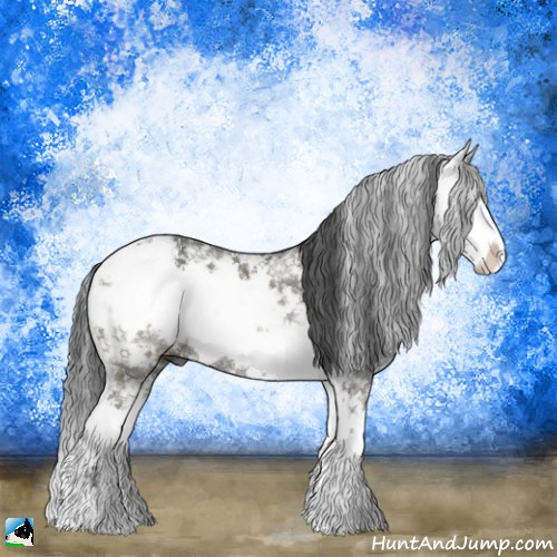 Horse Color:Grullo Ice Mushroom Sabino Rabicano 